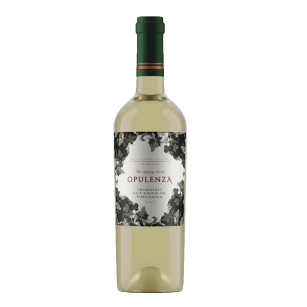 OPULENZA CHARDONNAY